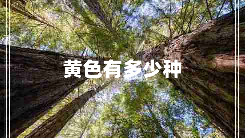 黃色有多少種