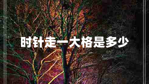 時(shí)針走一大格是多少