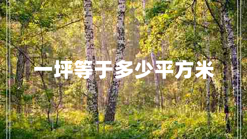 一坪等于多少平方米