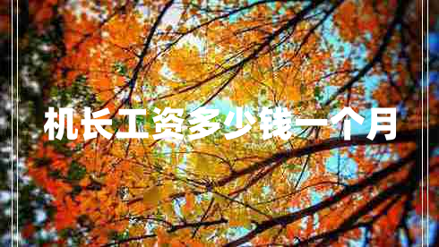 機長工資多少錢一個月