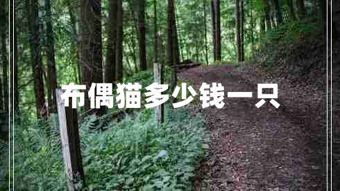 布偶貓多少錢一只