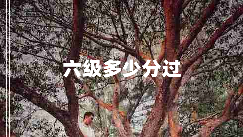 六級(jí)多少分過(guò)