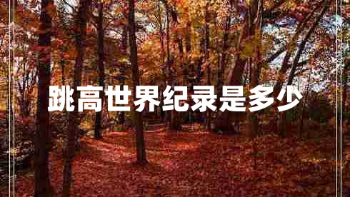 跳高世界紀(jì)錄是多少