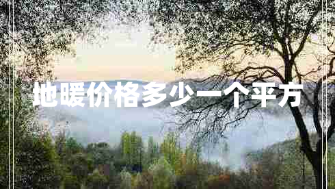 地暖價格多少一個平方