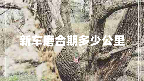 新車磨合期多少公里