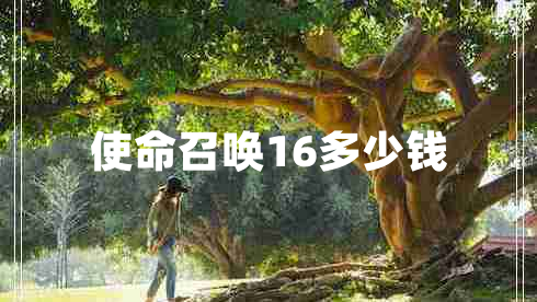 使命召喚16多少錢