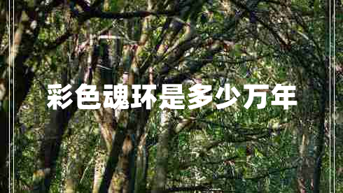 彩色魂環(huán)是多少萬年