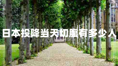 日本投降當天切腹有多少人 日本投降當天切腹有多少人