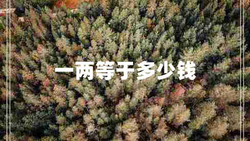 一兩等于多少錢(qián)