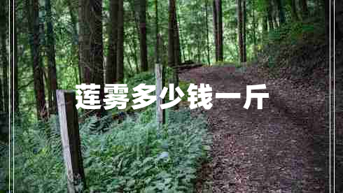 蓮霧多少錢一斤