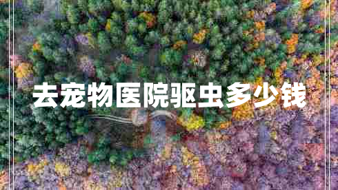 去寵物醫(yī)院驅(qū)蟲多少錢 去寵物醫(yī)院驅(qū)蟲多少錢