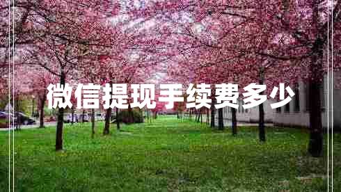 微信提現(xiàn)手續(xù)費多少