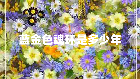 藍金色魂環(huán)是多少年 藍金色魂環(huán)是多少年