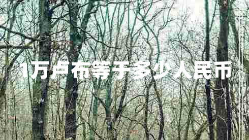 1萬盧布等于多少人民幣