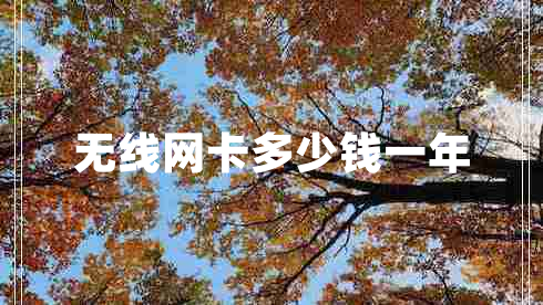 無線網(wǎng)卡多少錢一年