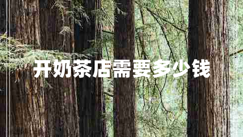 開(kāi)奶茶店需要多少錢(qián)