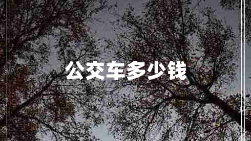 公交車多少錢