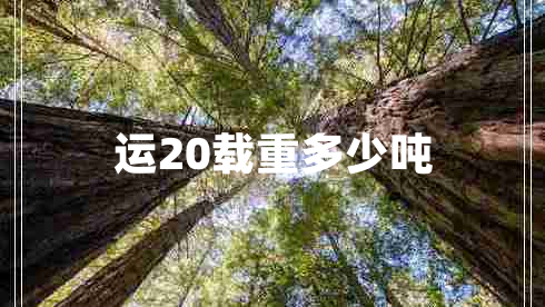 運20載重多少噸
