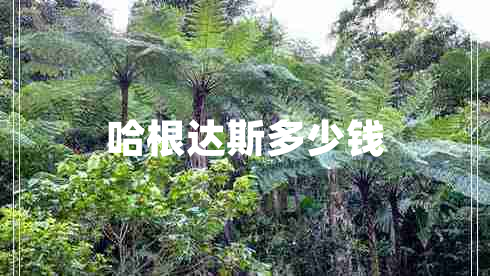 哈根達(dá)斯多少錢 哈根達(dá)斯多少錢