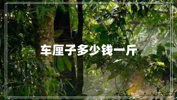 車厘子多少錢一斤