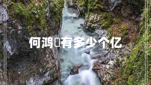 何鴻燊有多少個(gè)億 何鴻燊有多少個(gè)億