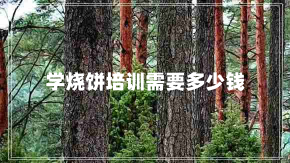 學(xué)燒餅培訓(xùn)需要多少錢(qián)