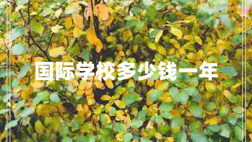 國際學(xué)校多少錢一年