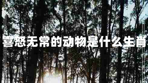 喜怒無常的動物是什么生肖