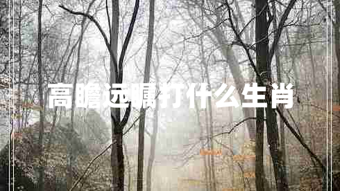 高瞻遠矚打什么生肖