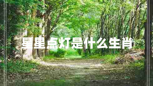 星星點燈是什么生肖