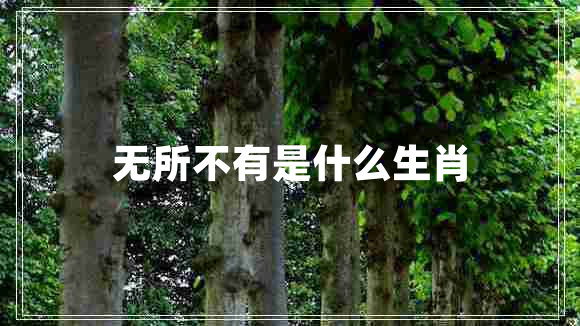 無所不有是什么生肖 無所不有是什么生肖