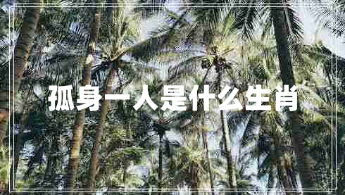 孤身一人是什么生肖