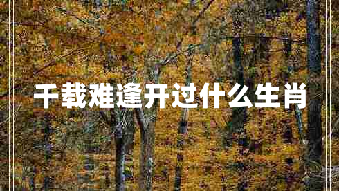 千載難逢開過什么生肖