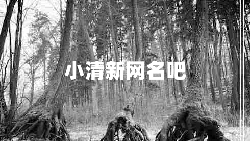 小清新網名吧