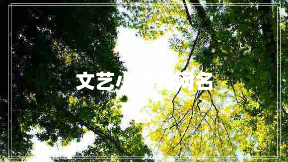 文藝小清新網(wǎng)名