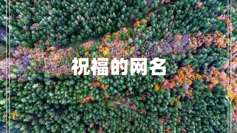 祝福的網(wǎng)名