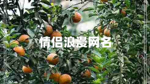 情侶浪漫網(wǎng)名