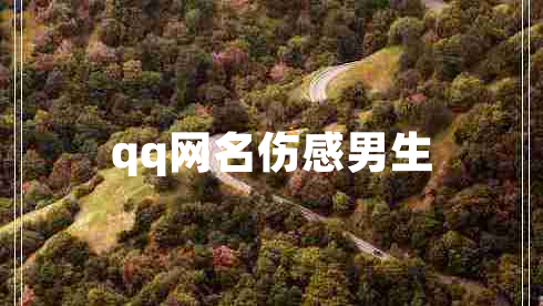 qq網(wǎng)名傷感男生