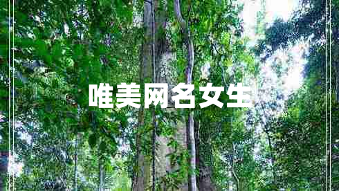 唯美網(wǎng)名女生 唯美網(wǎng)名女生