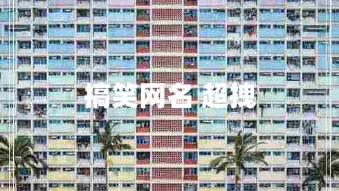 搞笑網(wǎng)名 超拽