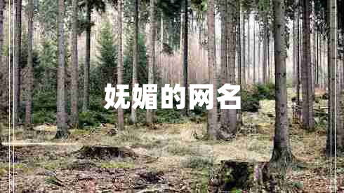 嫵媚的網(wǎng)名