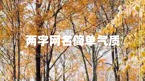 兩字網(wǎng)名簡(jiǎn)單氣質(zhì)