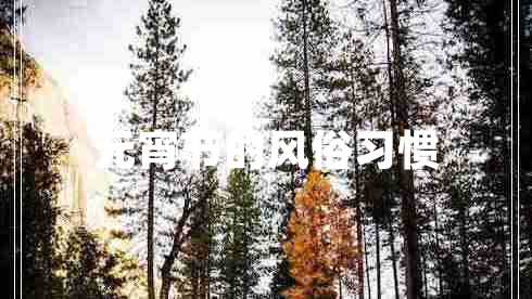 元宵節(jié)的風(fēng)俗習(xí)慣 元宵節(jié)的風(fēng)俗習(xí)慣