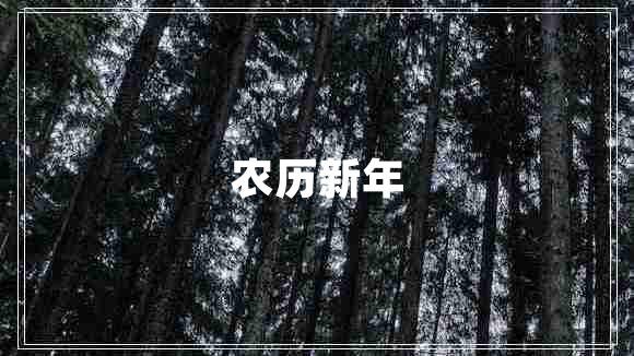 農(nóng)歷新年