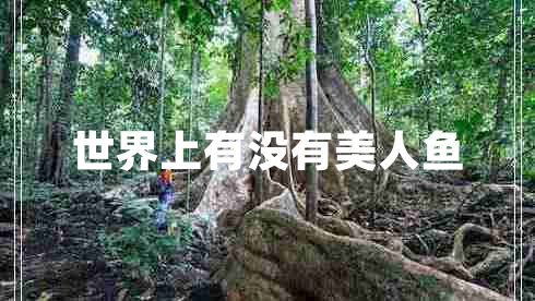 世界上有沒有美人魚