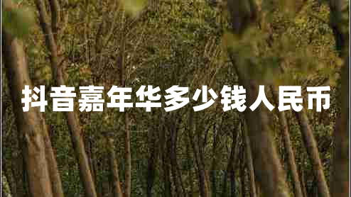 抖音嘉年華多少錢(qián)人民幣