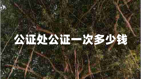 公證處公證一次多少錢