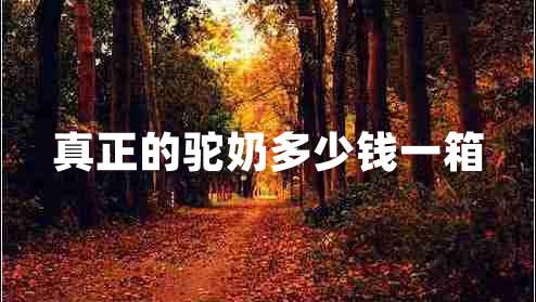 真正的駝奶多少錢一箱