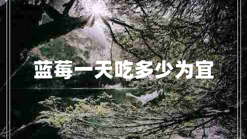 藍莓一天吃多少為宜