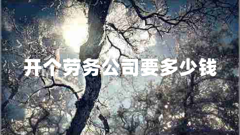 開個勞務(wù)公司要多少錢 開個勞務(wù)公司要多少錢